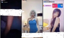 台媒瘦子爆料视频大全,揭秘娱乐圈幕后真相