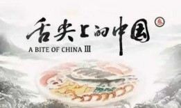 舌尖上的中国最新爆料,探寻美食背后的文化传承与创新